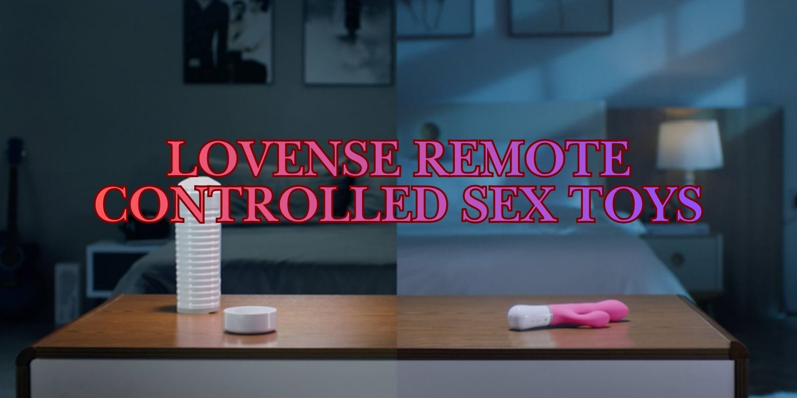 Lovense Remote Sex Toys