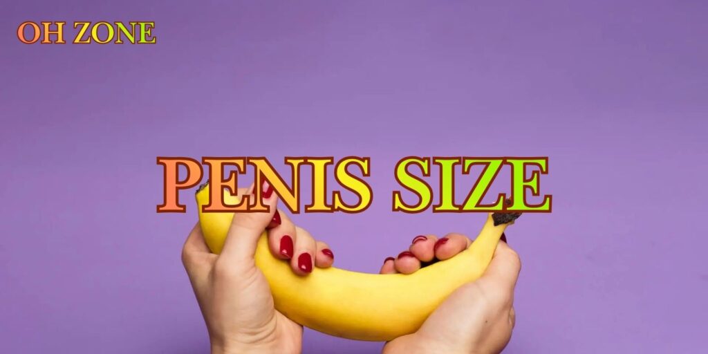 The Penis Size: Discover What Factors Affect It Now