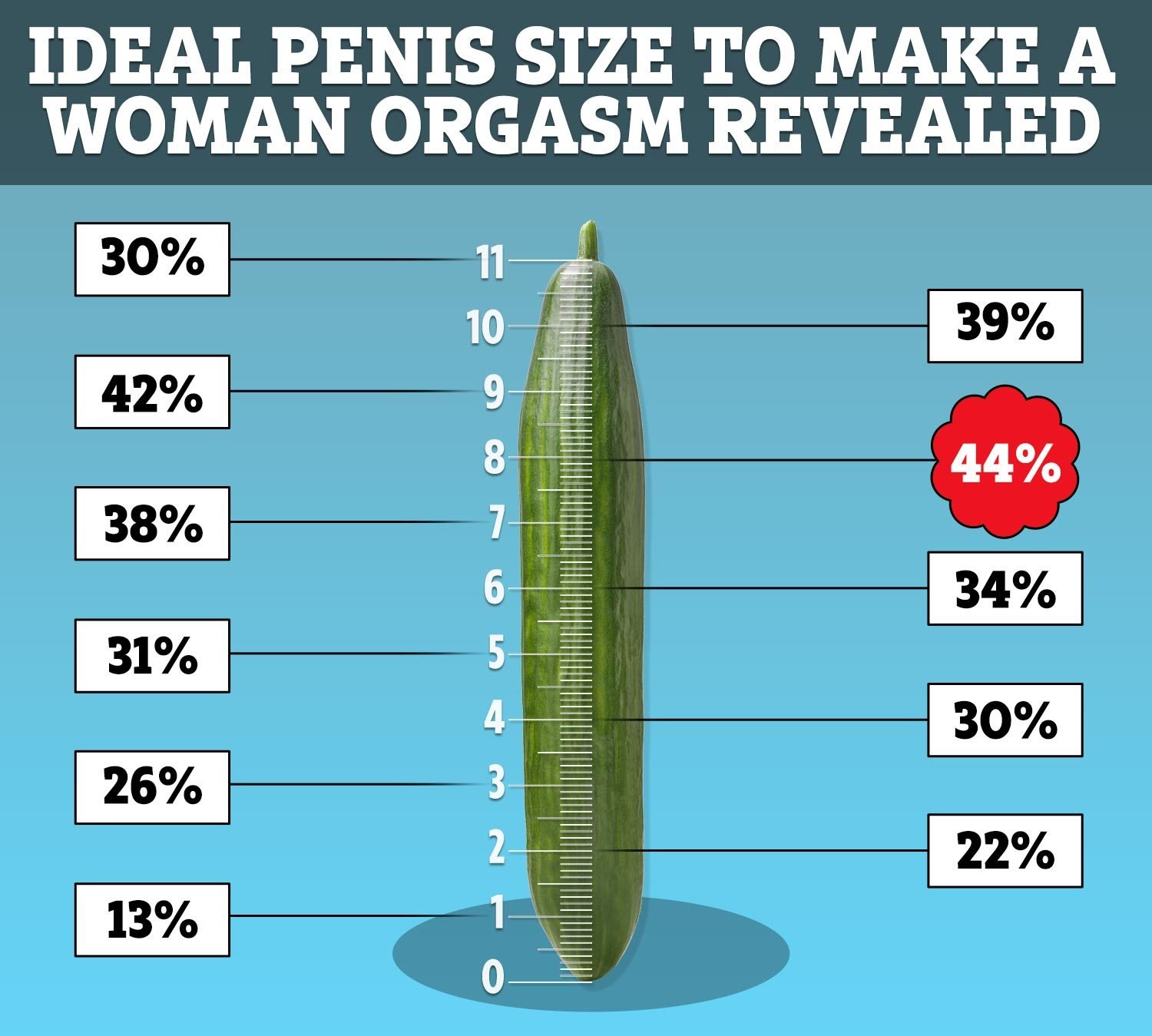 The Penis Size: Discover What Factors Affect It Now