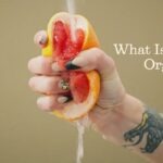 female pleasure guide